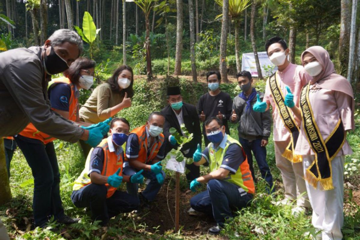 Penanaman pohon di Taman Konservasi Wonosobo tingkatkan indeks keragaman hayati