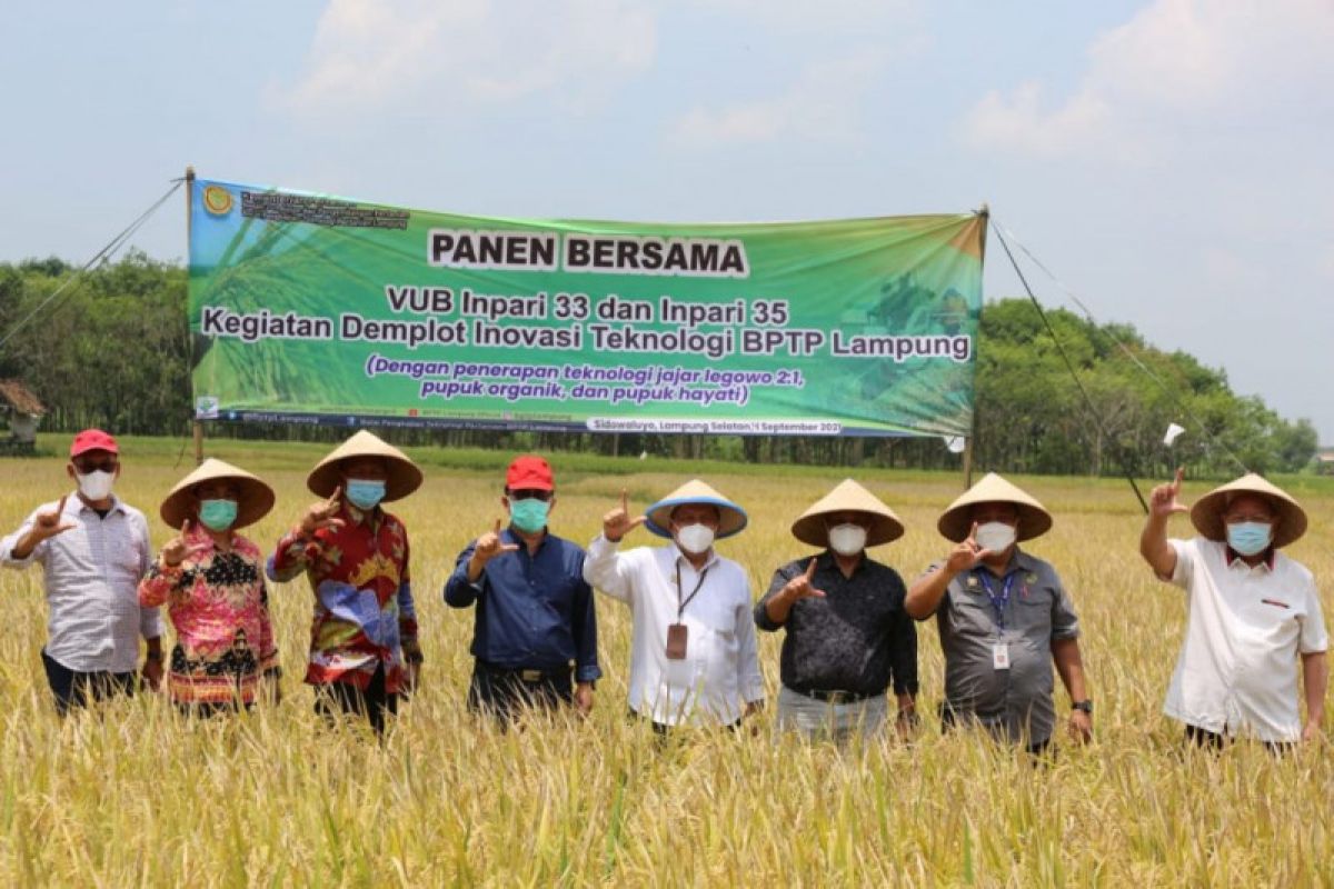 Bupati Lamsel dan Ketua Komisi IV DPR RI panen raya di Kecamatan Sidomulyo