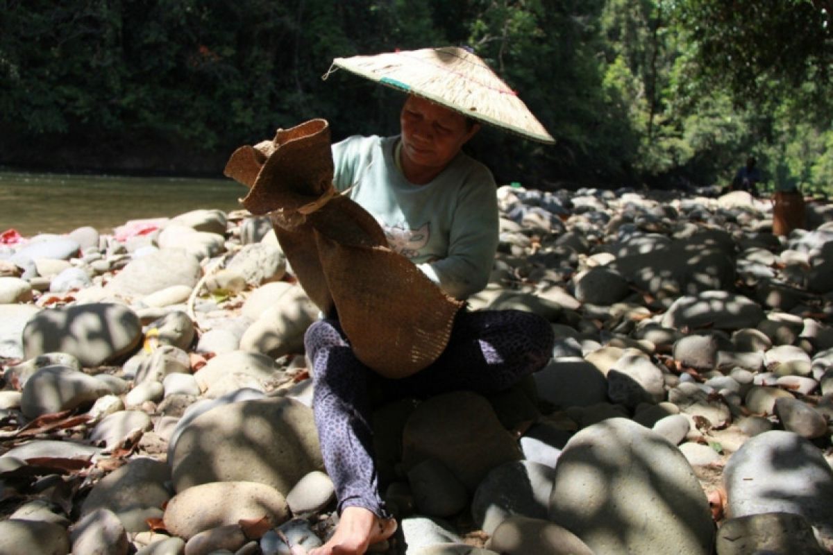 Pusat akui Hutan Desa, warga Kaltara janji jaga kearifan lokal