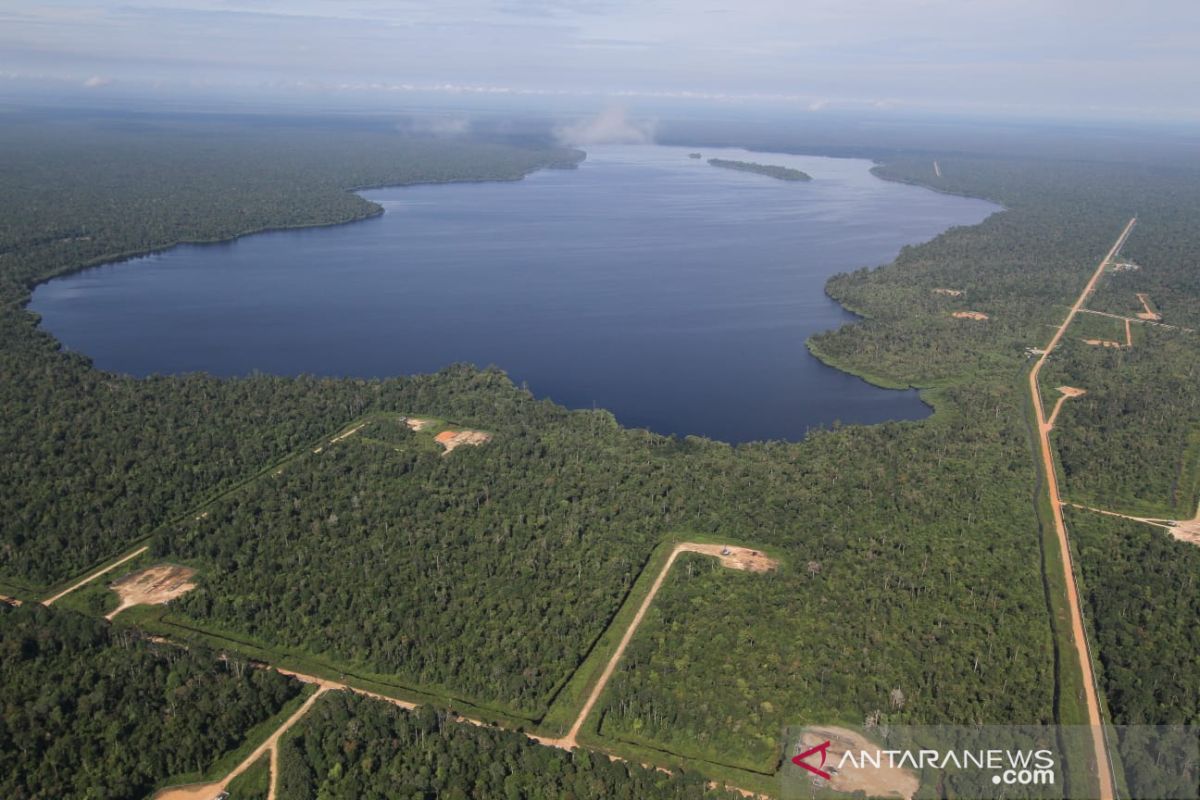 Bupati Siak dukung promosi Taman Nasional Zamrud lewat lomba karya jurnalistik