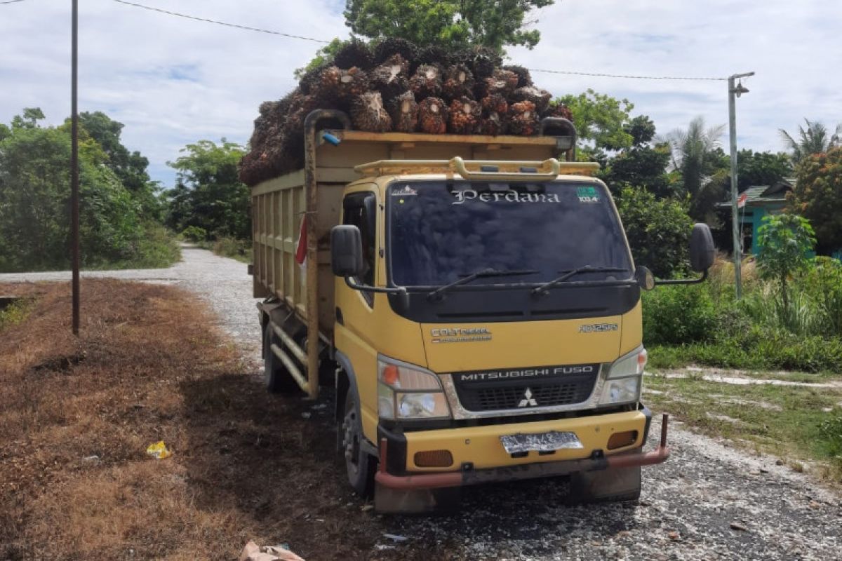 Polres Kampar layangkan panggilan pada terlapor penggelapan TBS Kopsa-M