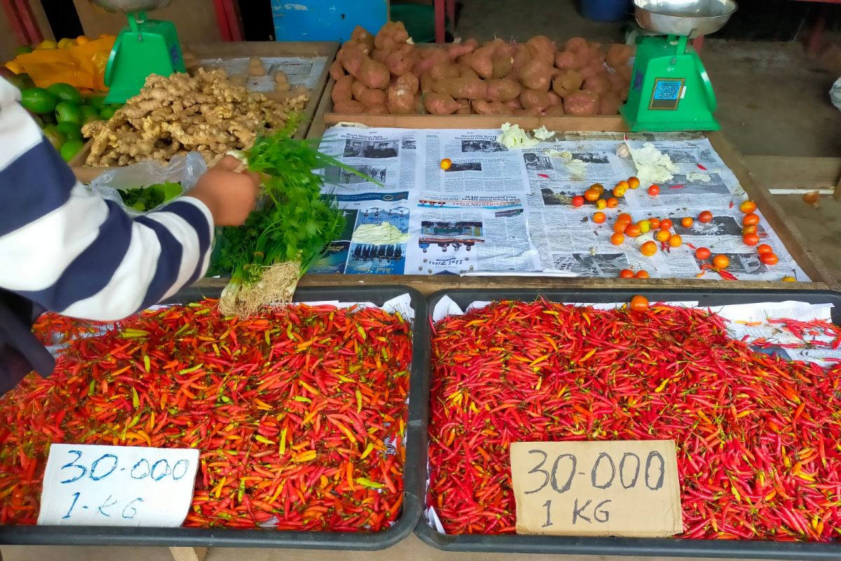 Harga cabai di Nunukan  turun drastis