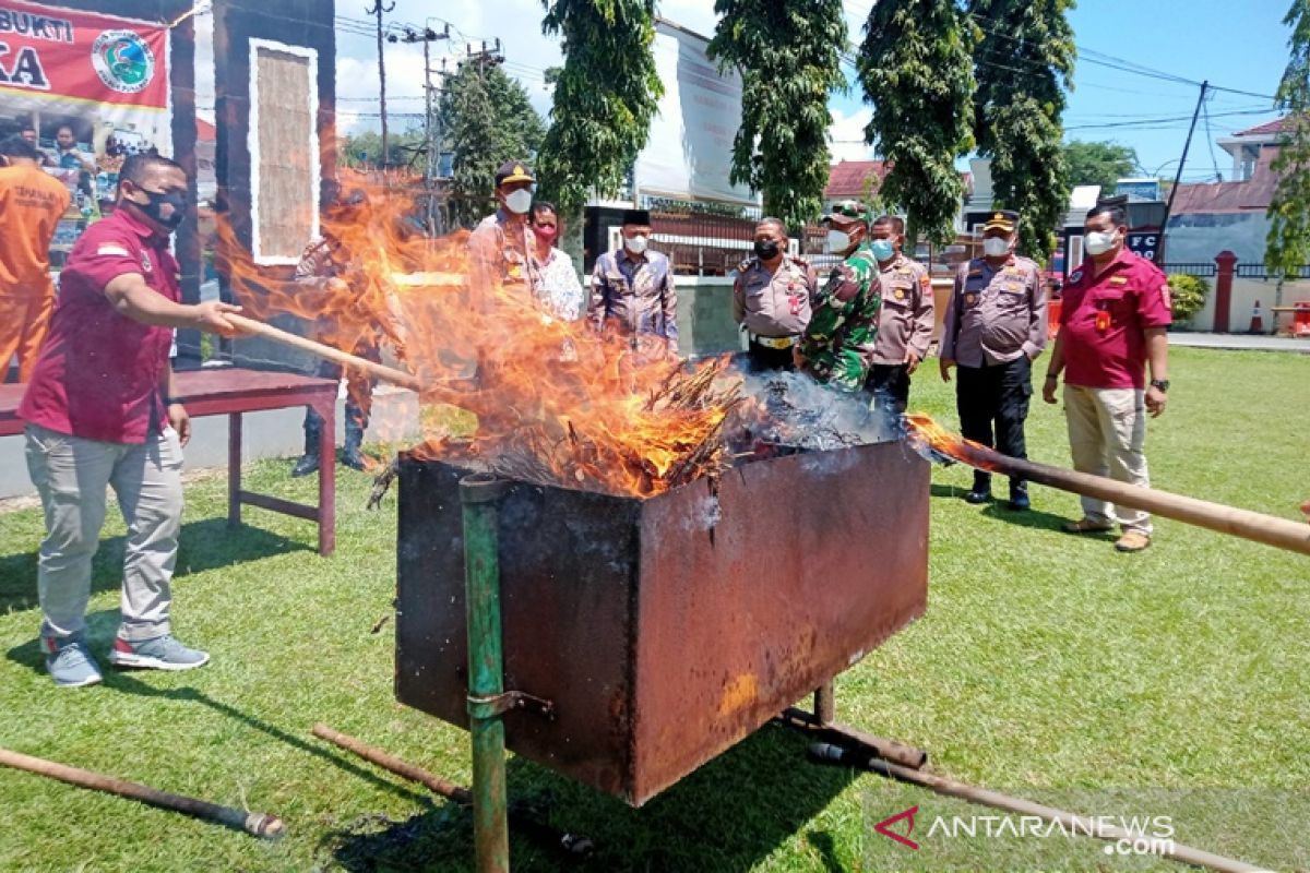 Polres Pasaman musnahkan 18 paket besar ganja hasil penangkapan kurir narkoba lintas provinsi (Video)