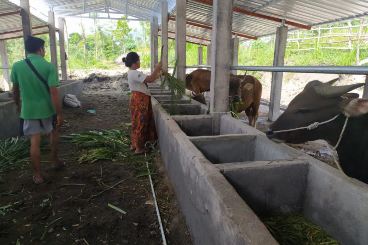 Eks Kadisnakkeswan NTB diperiksa penyidik kejaksaan