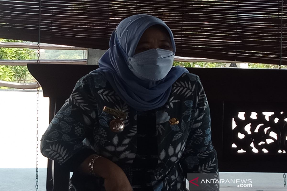 Pemkab Sleman memberikan hadiah ternak sapi lahir beranak kembar