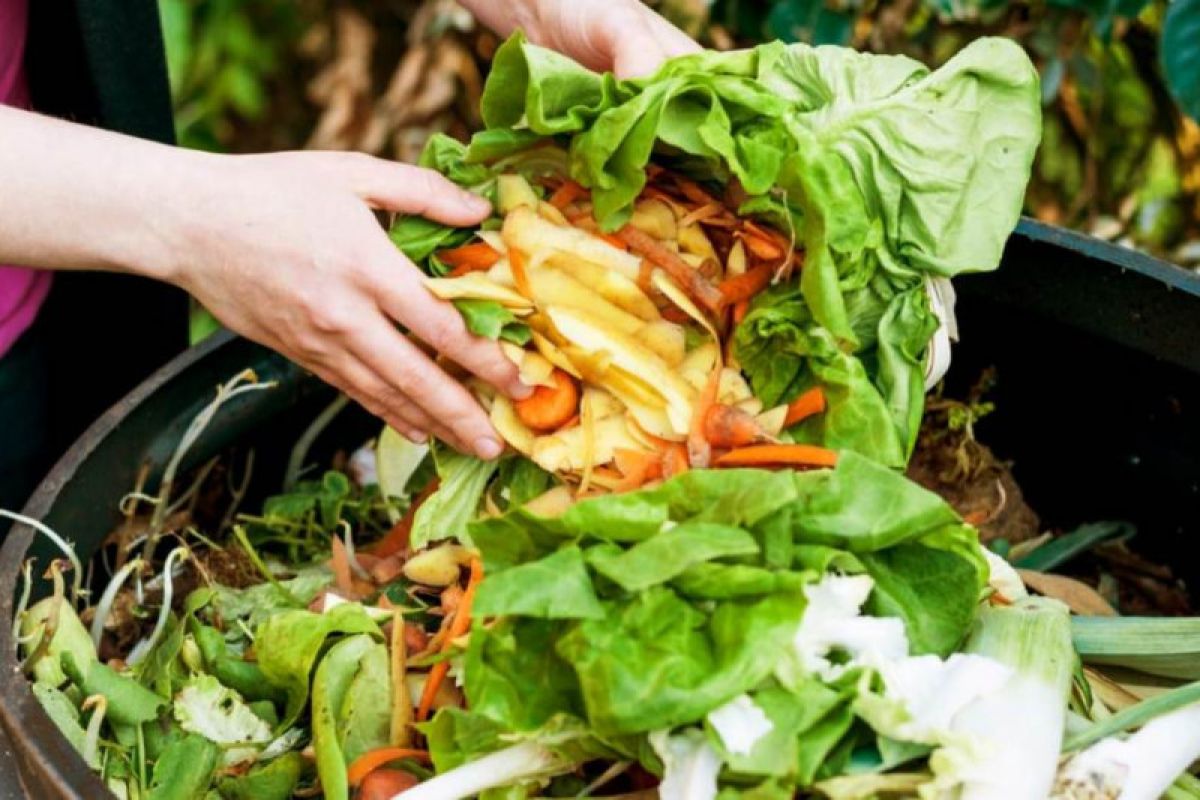 Penelitian ungkap penyebab "Food waste" di Indonesia tinggi