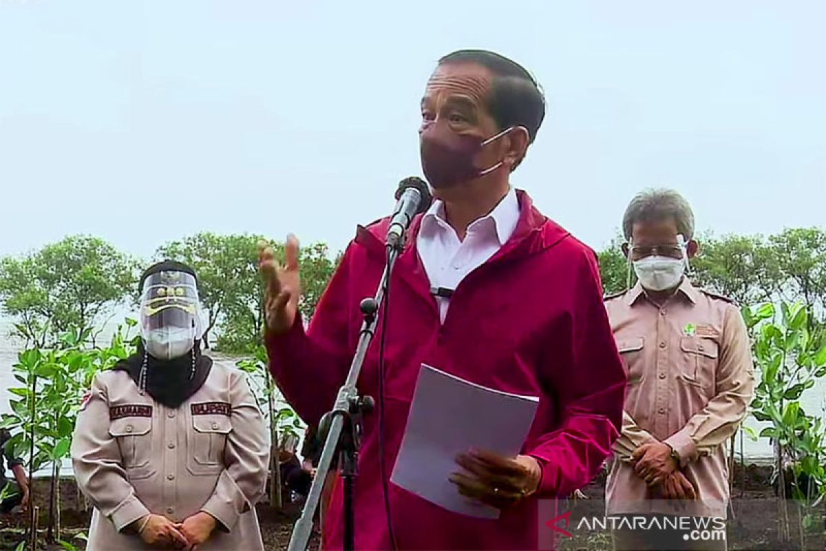 Presiden Jokowi wajibkan pelayanan publik merahasiakan NIK dan NPWP