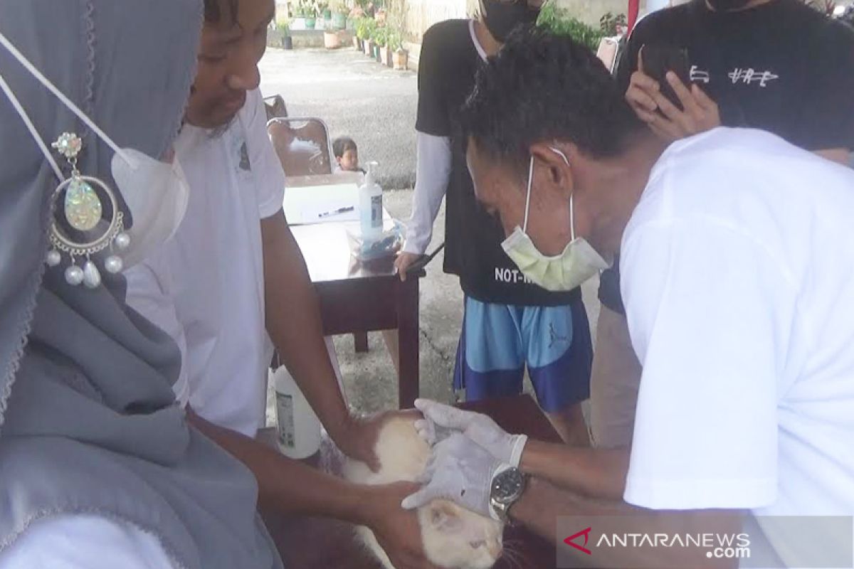 Hari Rabies Sedunia, Dinas Pertanian Kapuas gelar suntik rabies massal