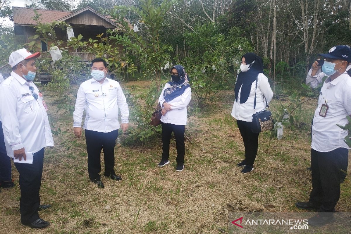 Pemkab Kotim siapkan Tanah Mas menjadi agrowisata