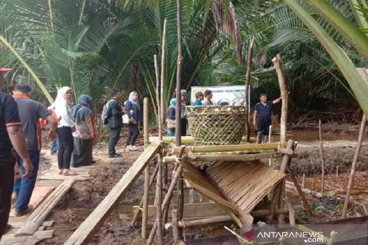 Lima kabupaten di Sultra memiliki budidaya sagu terluas