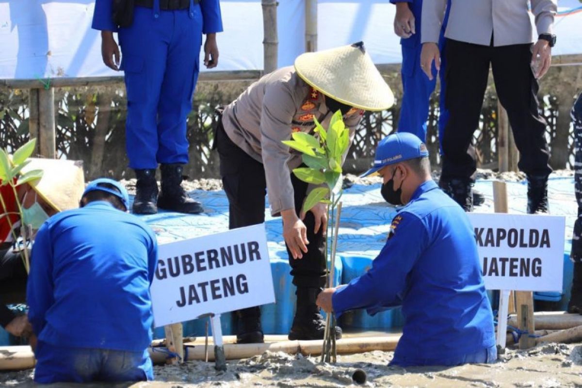 Penanaman 1 juta mangrove oleh Polda Jateng raih rekor MURI