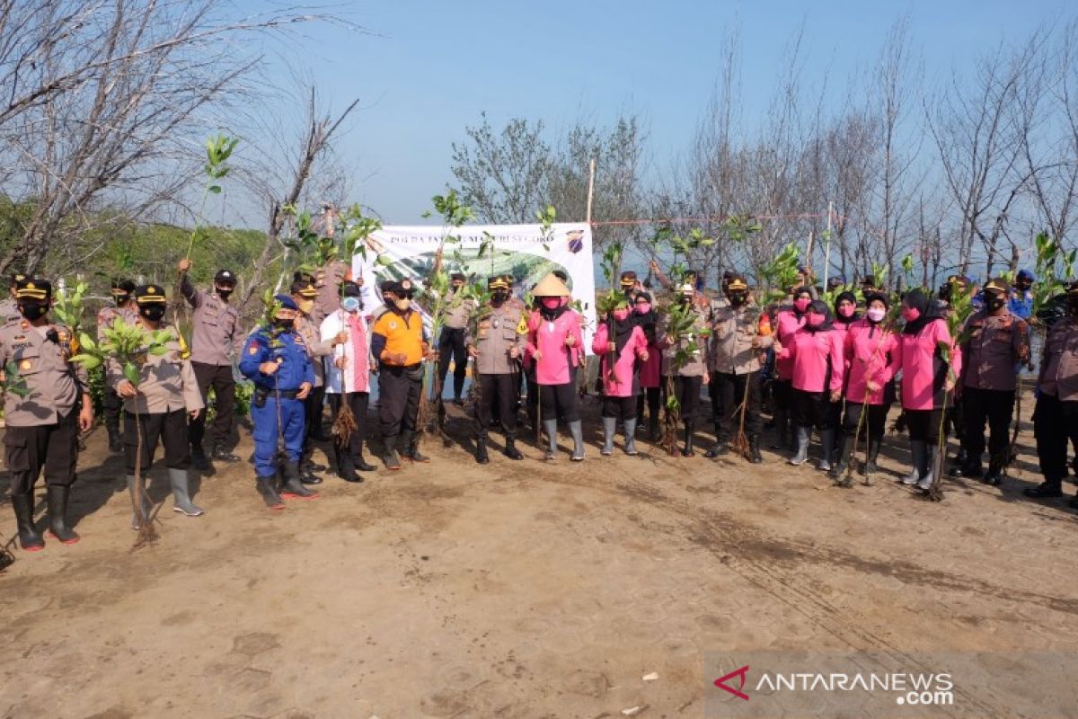 Polres Pekalongan Kota tanam 70 ribu mangrove di pantai