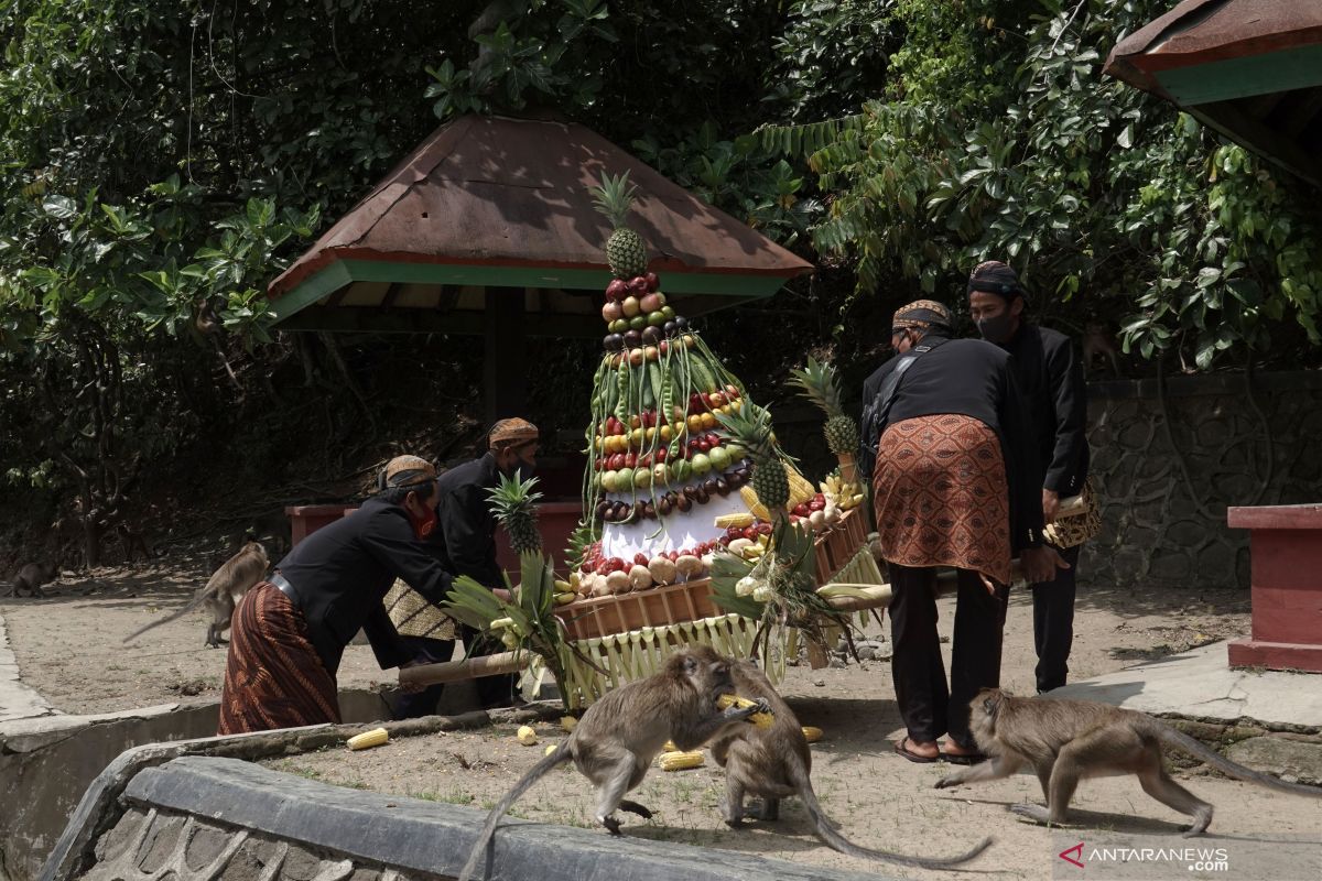 Pengamat nilai tepat wacana pengembangan Desa Wisata Cikakak Banyumas