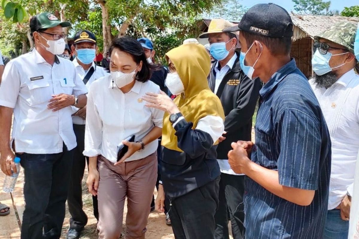 Dua kecamatan pesisir Pulang Pisau berpotensi dijadikan kawasan hutan mangrove