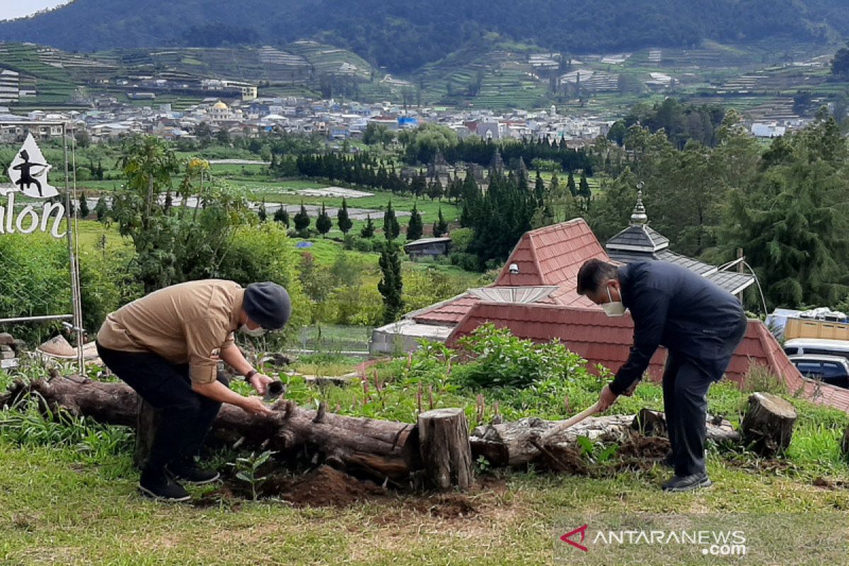 200.000 bibit kopi ditanam di Pegunungan Dieng