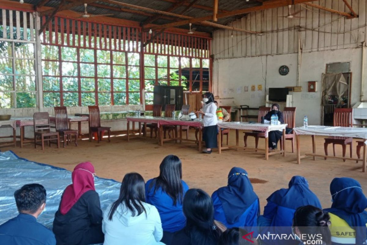 BNN sosialisasi P4GN kepada karyawan tambang di Konawe Utara