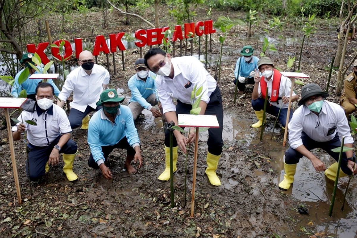 Komut Pertamina apresiasi KPI Unit Cilacap dalam mendukung konservasi mangrove