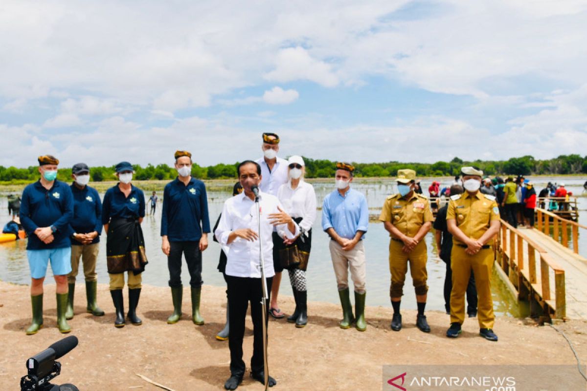 Presiden Jokowi targetkan rehabilitasi 600.000 hektare hutan mangrove