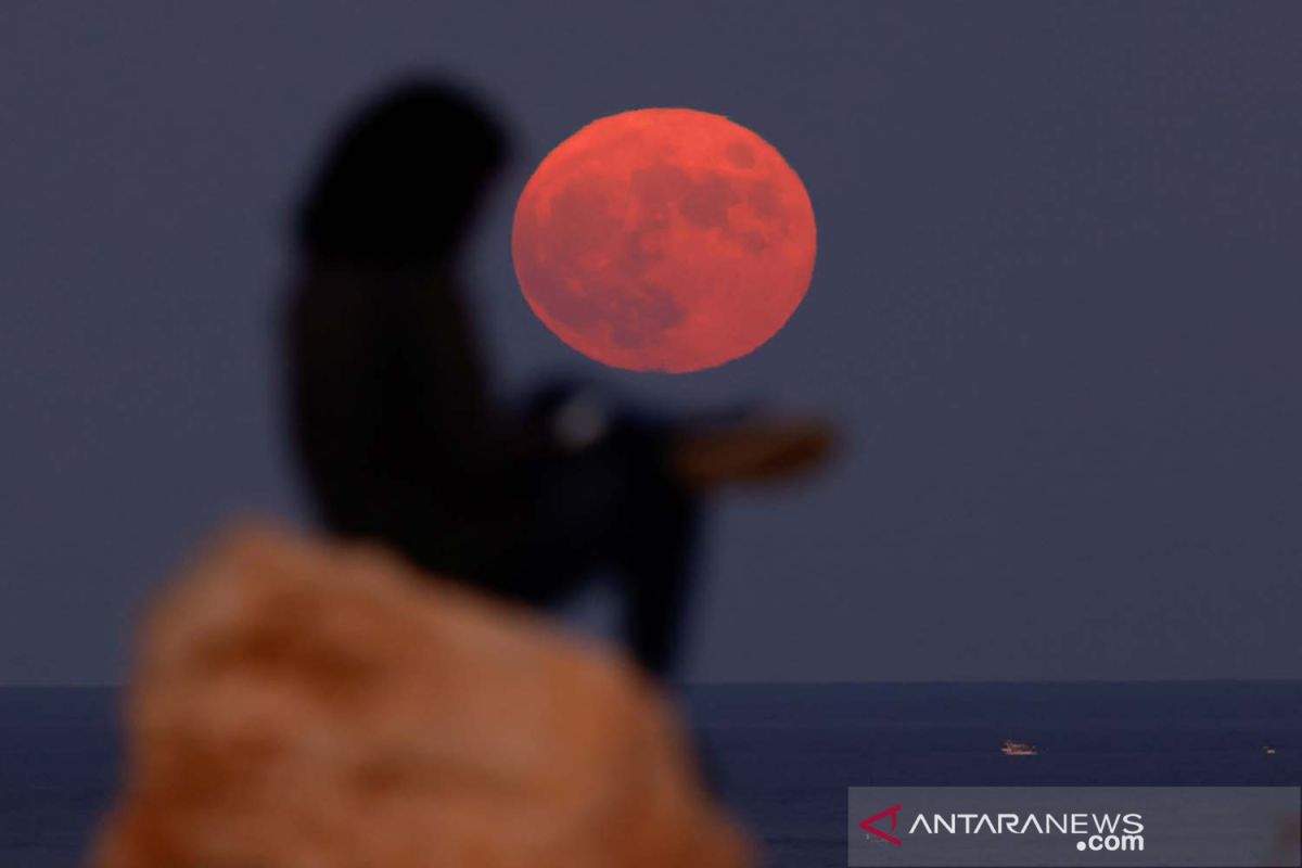 Malam ini puncak fenomena Hunter Moon bisa disaksikan di wilayah Kepri