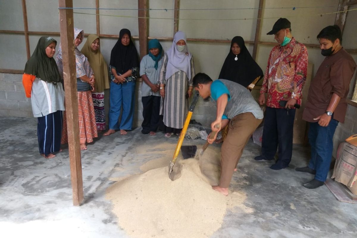 PkM Dosen Unand Laksanakan Penyuluhan Pakan Puyuh Berbasis Kulit Umbi dan Daun Ubi Kayu Fermentasi