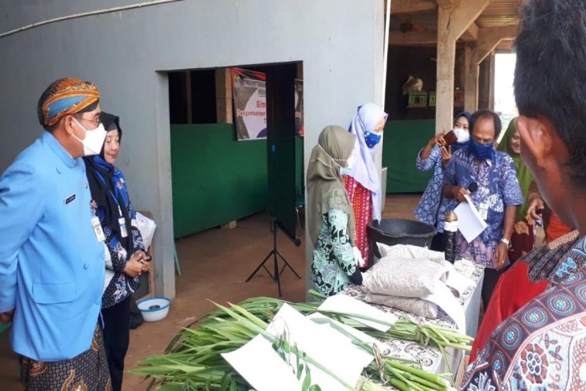 Jateng dorong peternak kembangkan pakan berkualitas