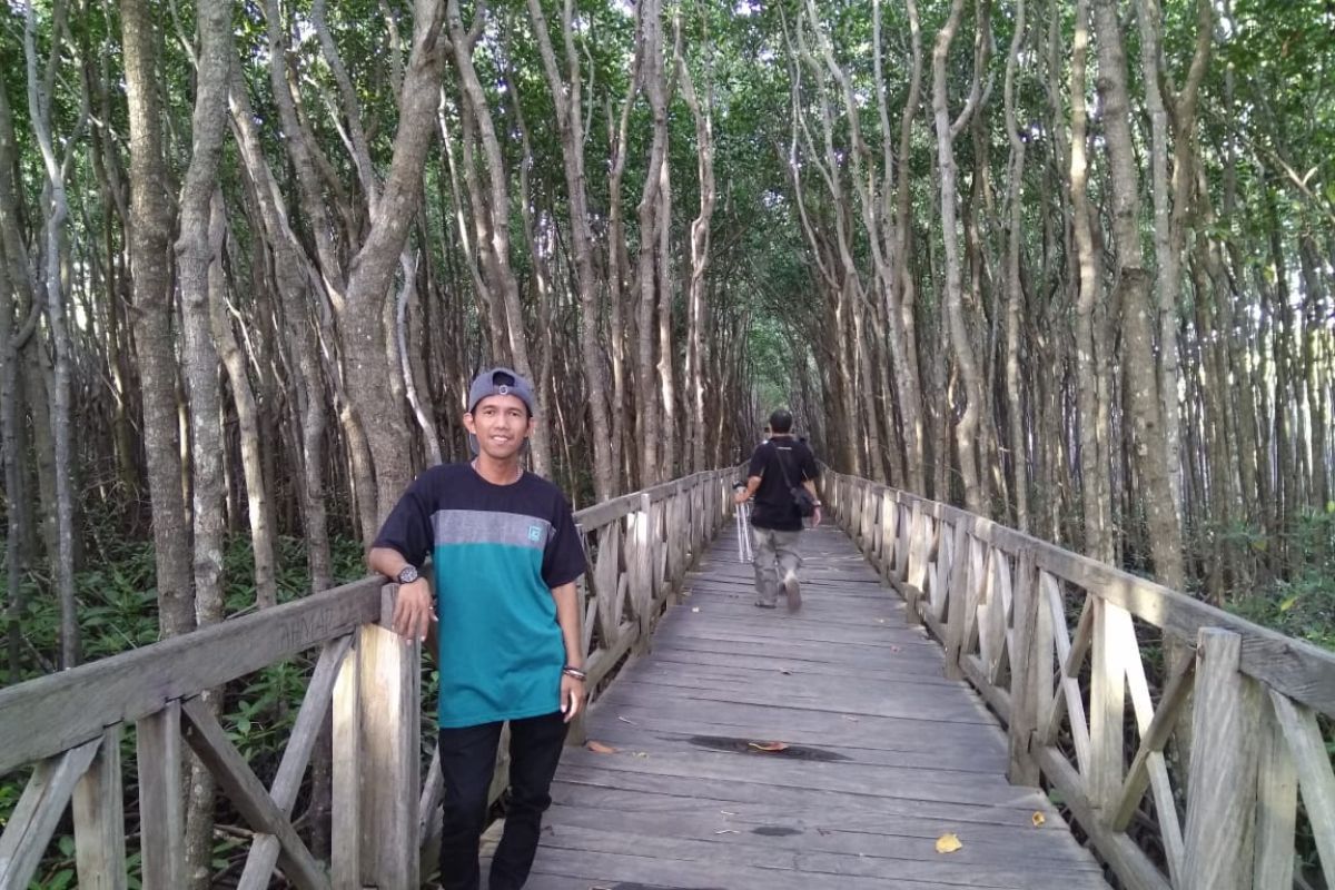 Wisata Mangrove Tongke-Tongke Sinjai tunggu pengembangan