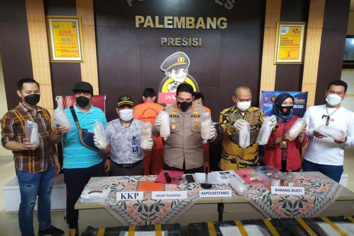 Polisi tangkap dua orang tersangka penyelundupan benih lobster senilai Rp15 miliar