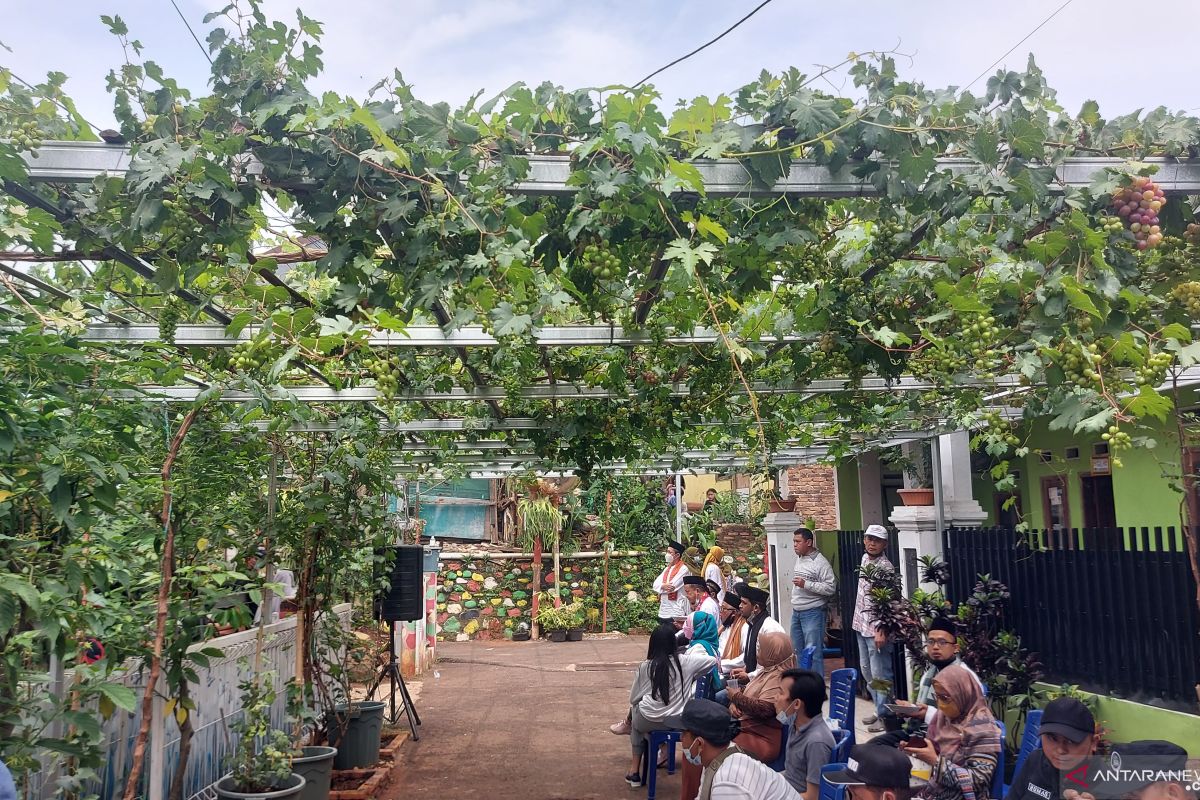 Menyulap gang sempit jadi kebun anggur