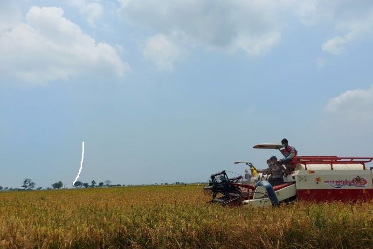 Hari Pangan Sedunia, Mentan minta semua pihak untuk bersiap hadapi pemanasan global