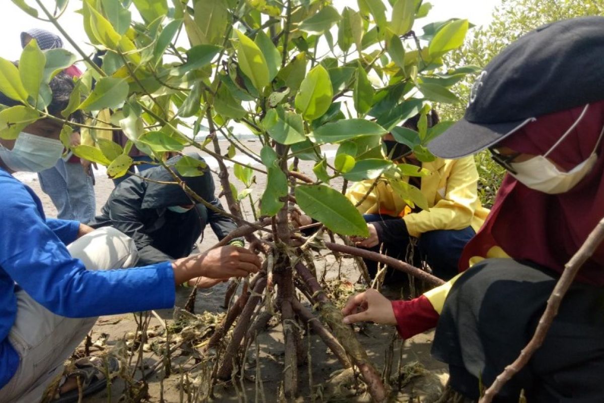 Warga Pekalongan dukung pesisir jadi lokasi konservasi mangrove.