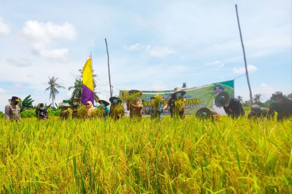 Masyarakat Sukamara diimbau manfaatkan lahan telantar untuk pertanian