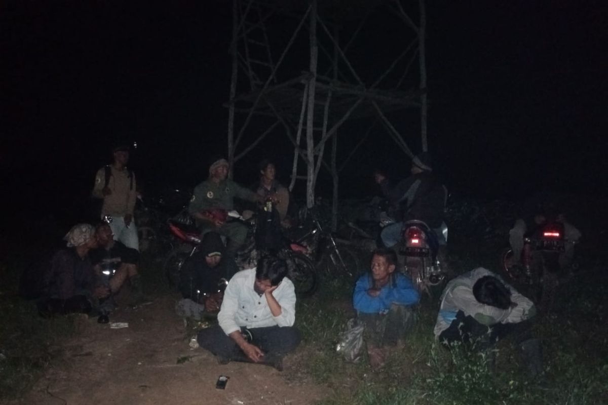 Gerombolan gajah liar yang serang warga Lampung Timur sudah kembali ke hutan