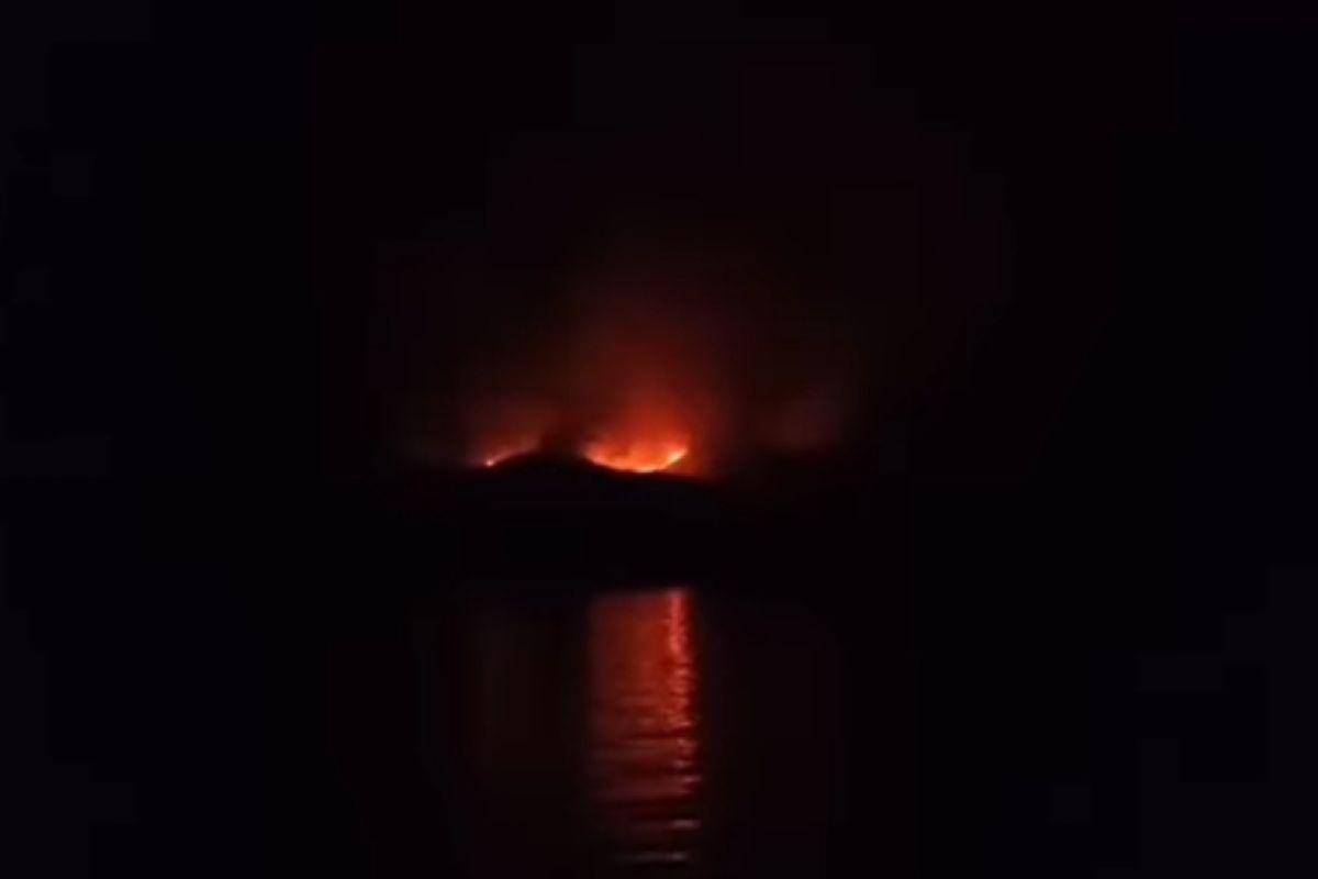 Komodo aman saat kebakaran di Pulau Rinca