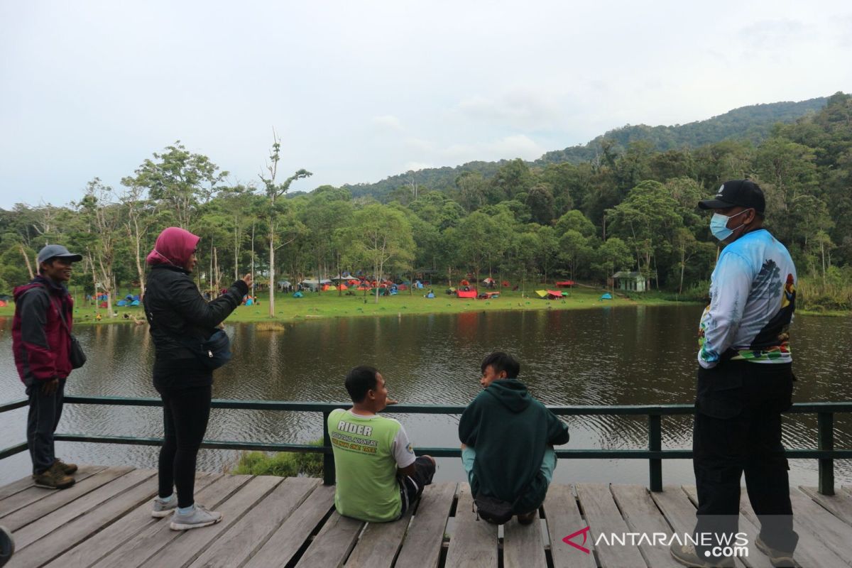 Mengenal jalur pengamatan burung endemik  di Taman Nasional Lore Lindu