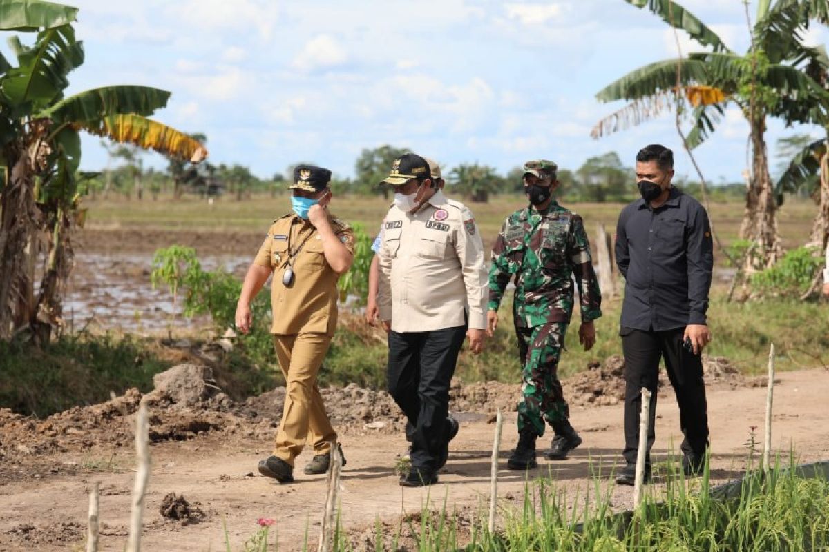 Gubernur Kalteng sebut ketahanan pangan menjadi bagian ketahanan nasional