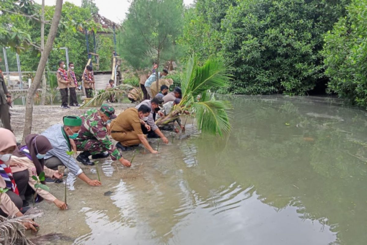 HMI Lampung Timur-Forkopincam Labuhan Maringgai tanam pohon mangrove