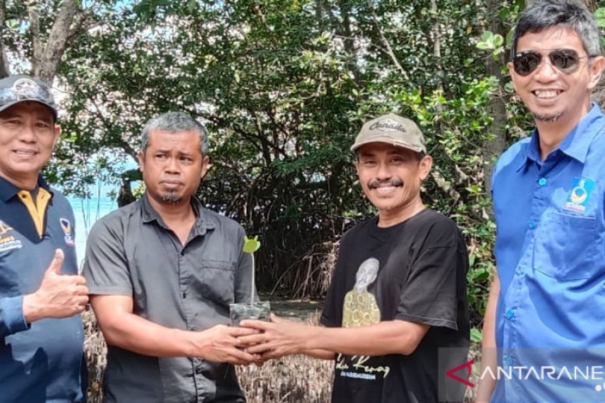 NasDem  tanam 100 mangrove cegah abrasi pantai Donggala