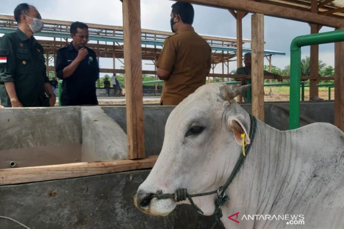 Pemkab Morowali optimalkan pertanian terintegrasi bangun ketahanan pangan