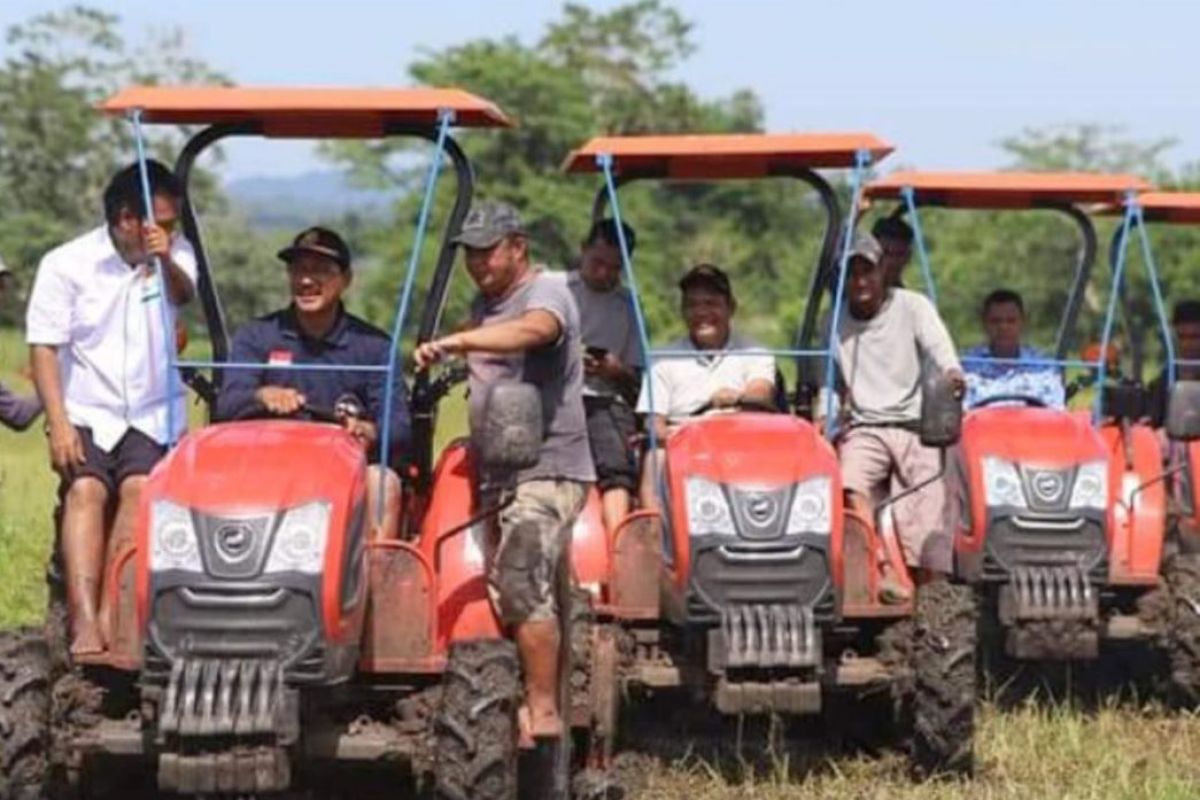 65 desa di Sumba Tengah jadi lokasi lumbung pangan