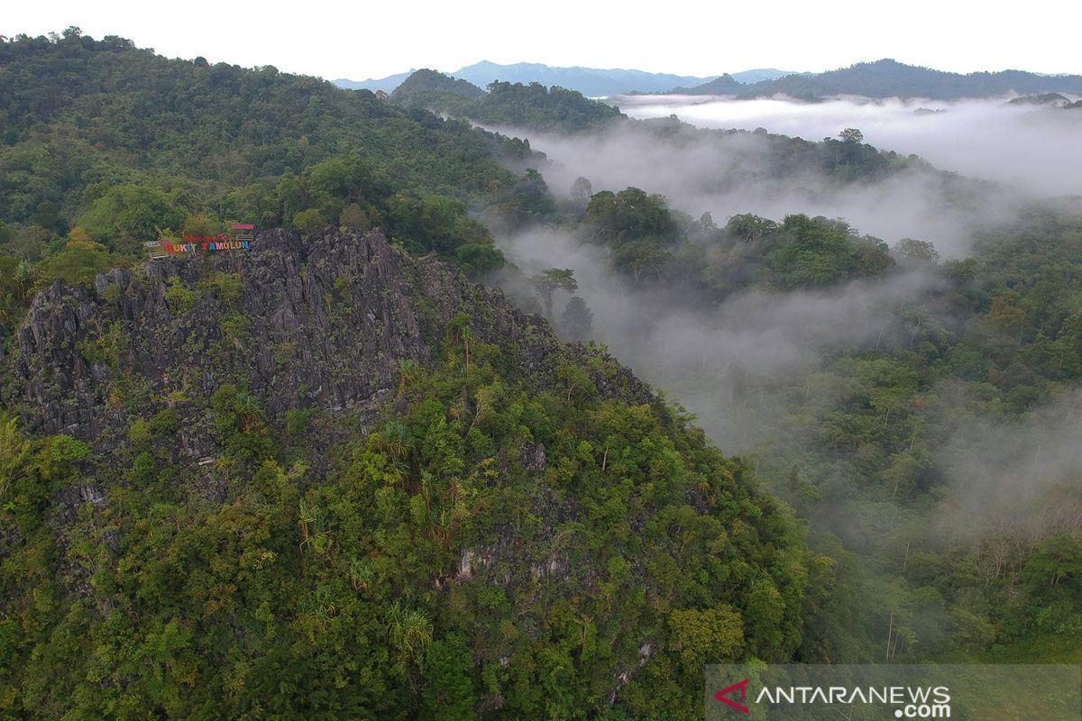 Menteri investasi Bahlil cabut 15 izin konsesi kawasan hutan