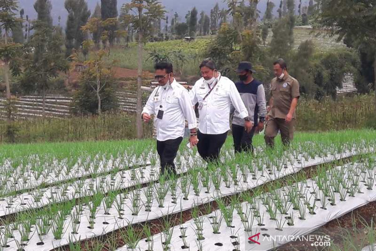 Temanggung-Wonosobo jadi contoh pengembangan "food estate"