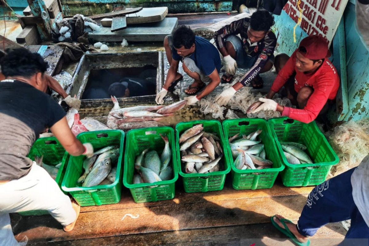 Potensi perikanan di Kepri capai 1,1 juta ton per tahun