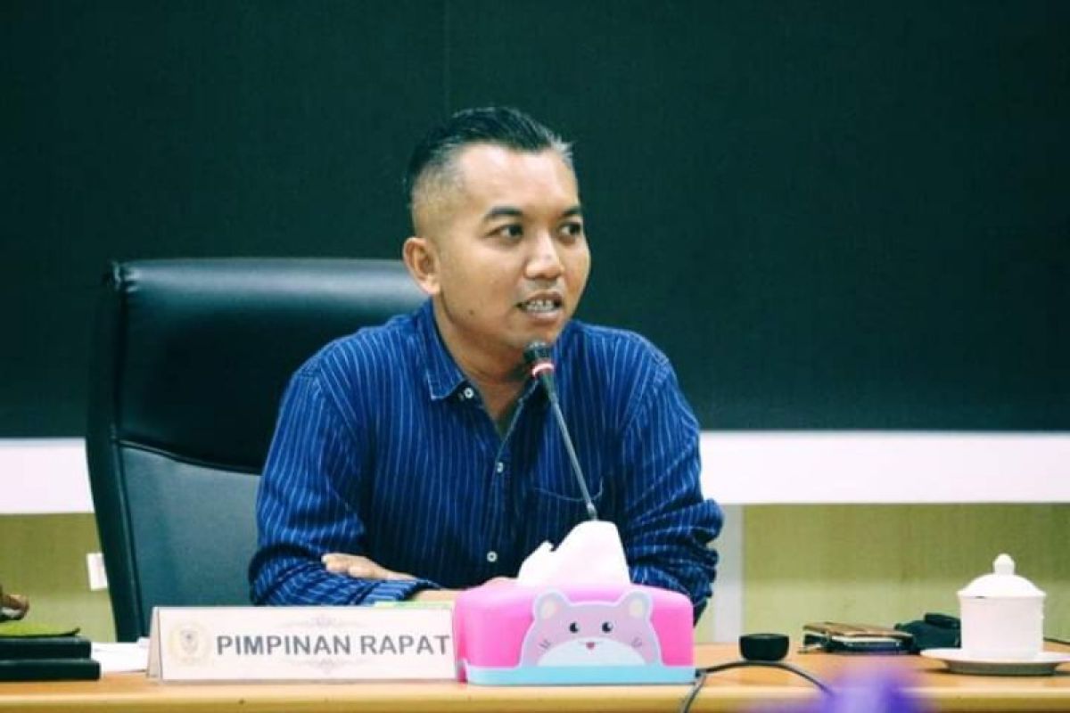 Ketua DPRD Seruyan harapkan kesiapan pemkab maksimal antisipasi karhutla