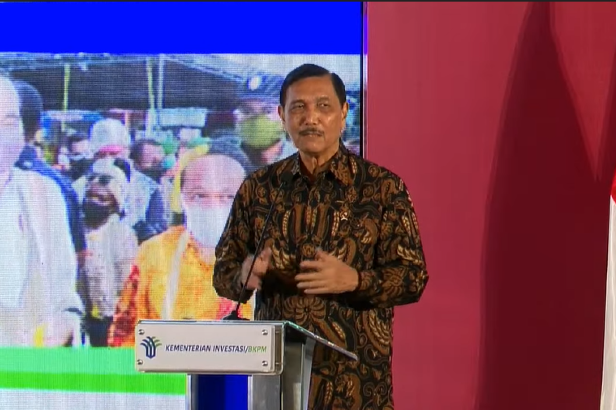 Luhut: Indonesia dan Inggris berencana bangun rantai suplai baterai EV