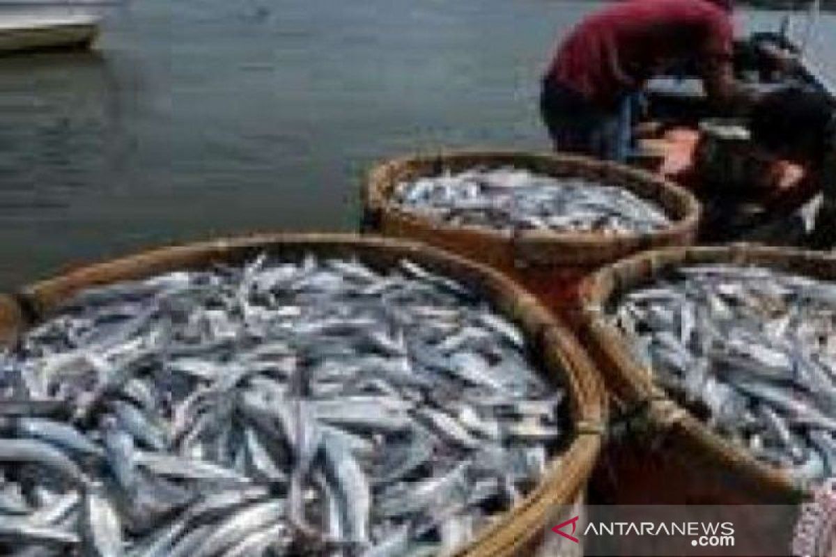Wagub Riau dorong peningkatan konsumsi ikan atasi stunting