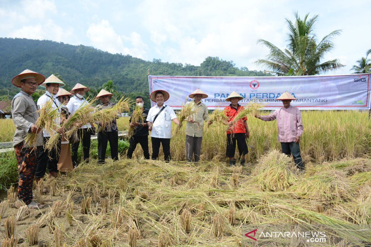 Hasil panen petani di Lubuk Kilangan meningkat usai perbaikan intake Baringin