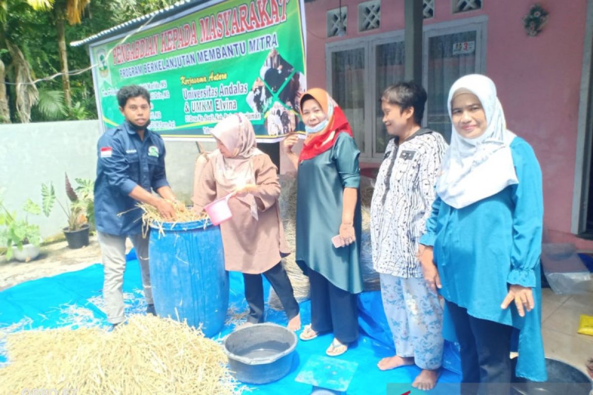 Fermentasi Jerami Padi, Pengabdian Universitas Andalas pada UMKM Elvina di Desa Kap. Sagit, Kec V Koto Timur, Kab. Padang Pariaman