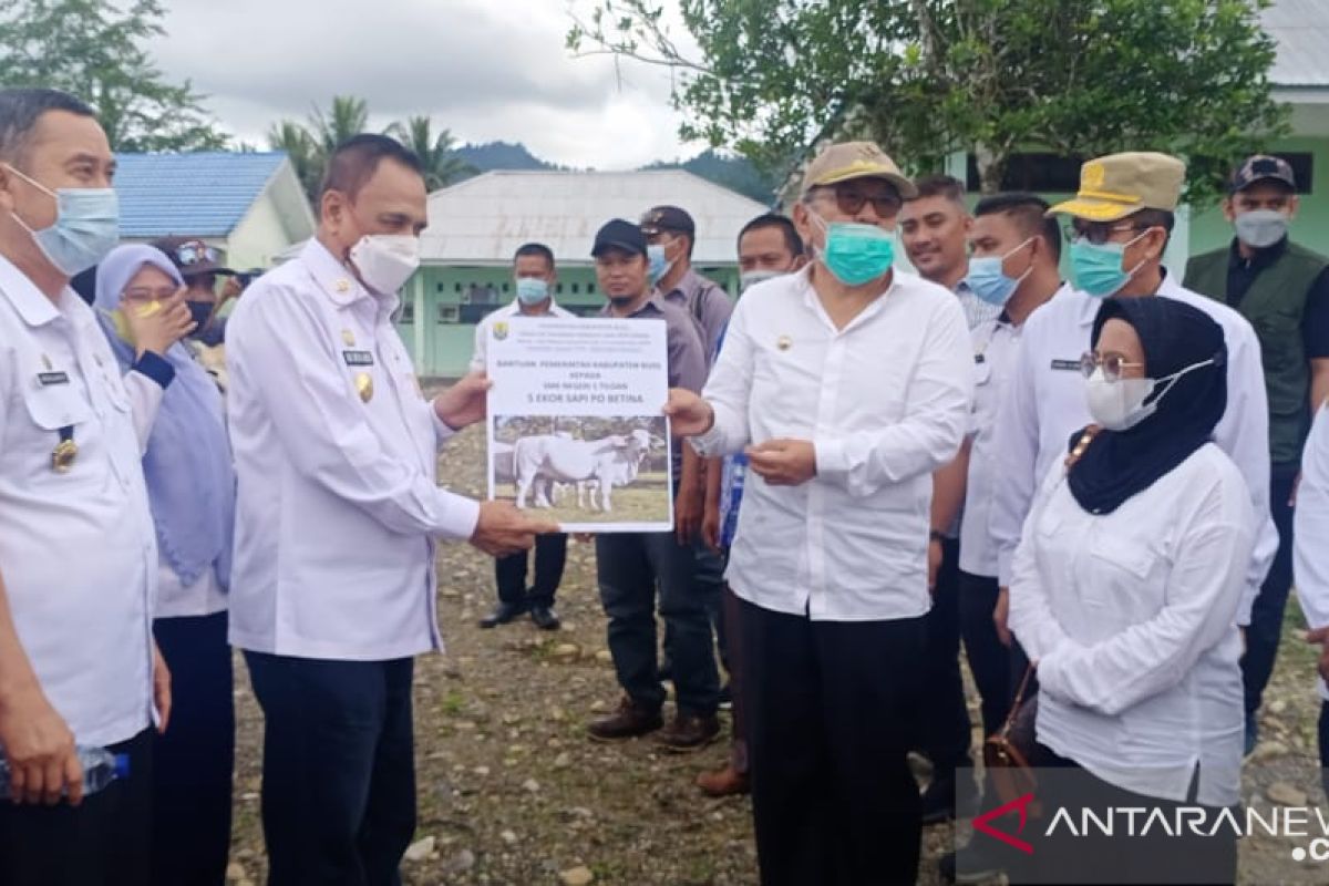 Buol-Pemprov Sulteng kembangkan SMKN Tiloan  jadi sekolah peternakan