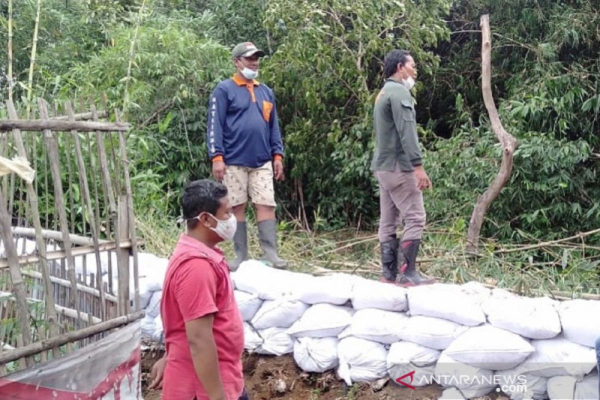 Puluhan meter tanggul sungai kritis di Kudus diperkuat