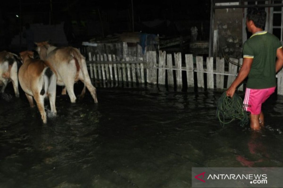 Pemkab Parimo  imbau warga pesisir tingkatkan kewaspadaan banjir rob